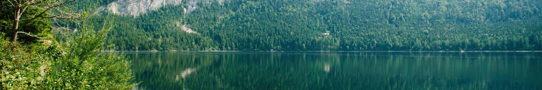 Reflection of forest to lake